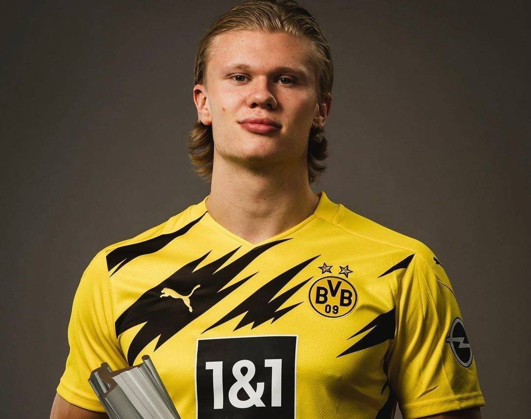 这些指标共 这些指标共